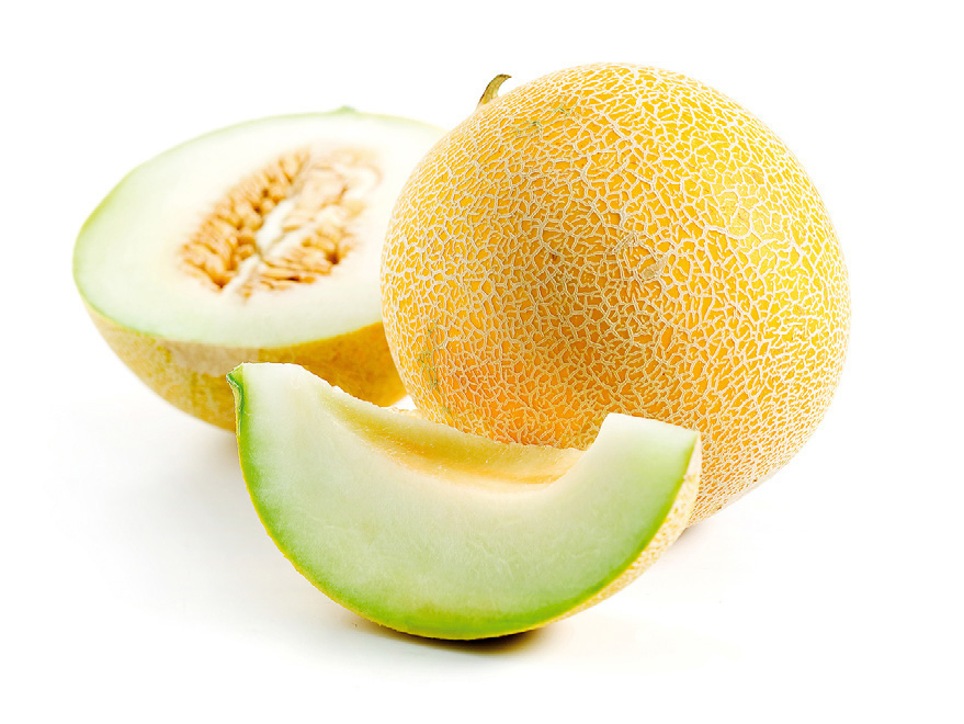 Melon Galia